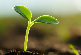 「書いてばかりで、患者さんが見えない」──　　　それでも記録をやめられない私へ